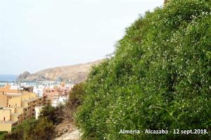 10 ALMERIA ALCAZABA 12 09 2018 (256)